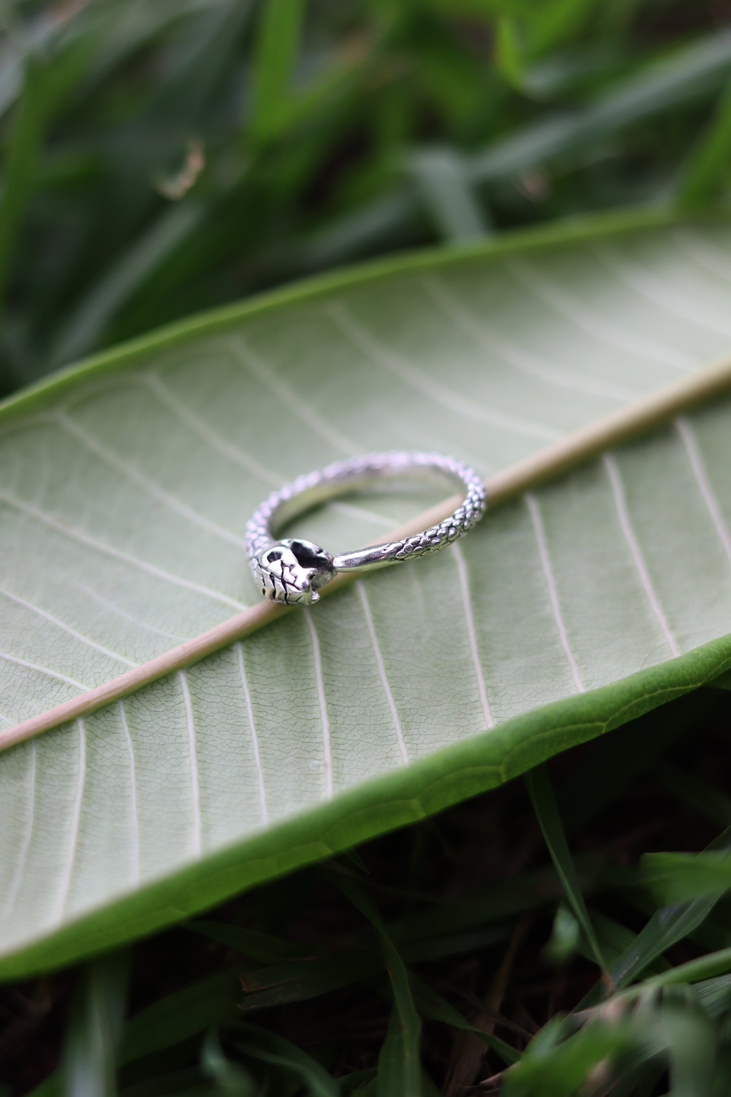 Slyther Ring