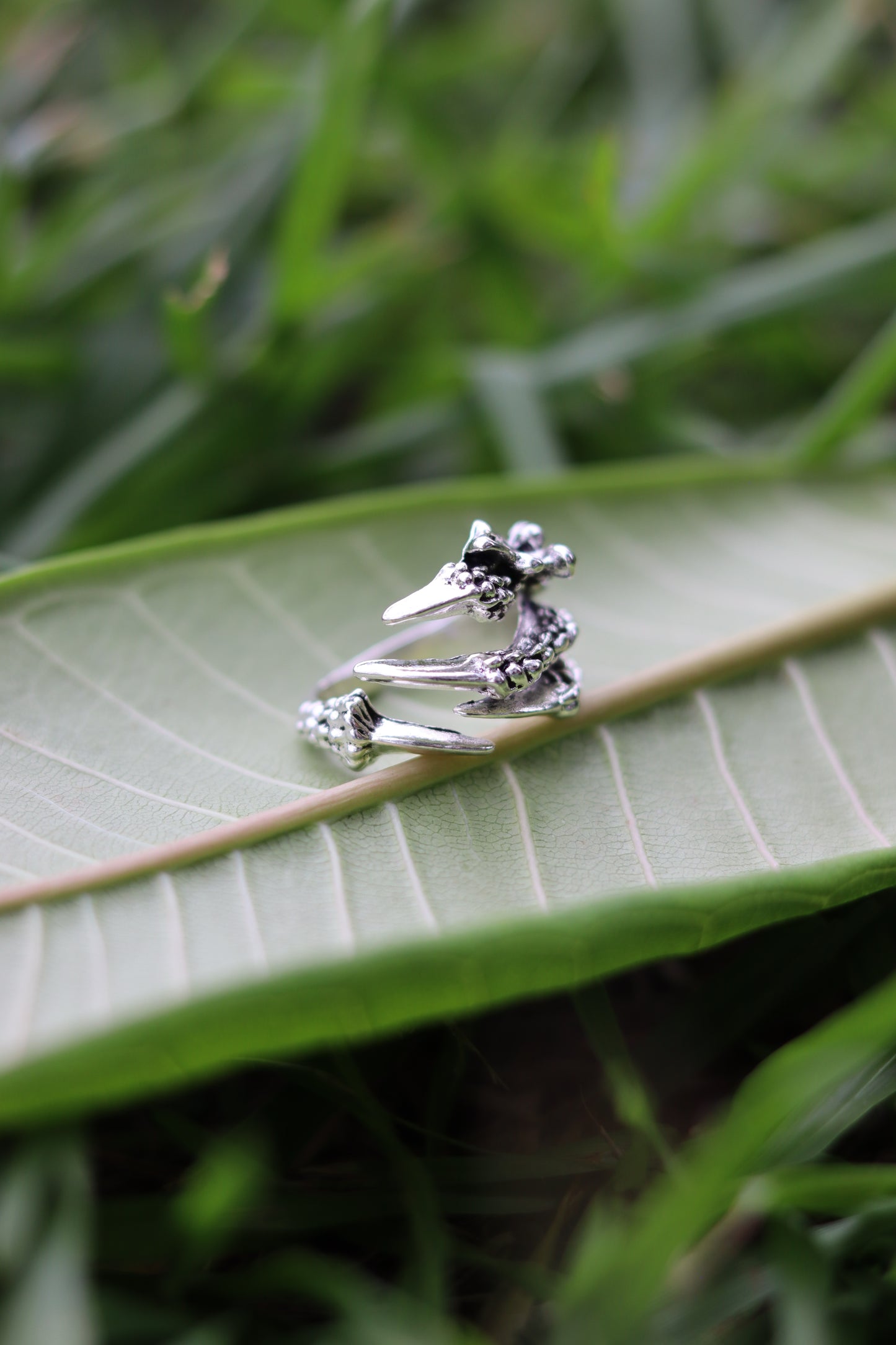Raptor Ring
