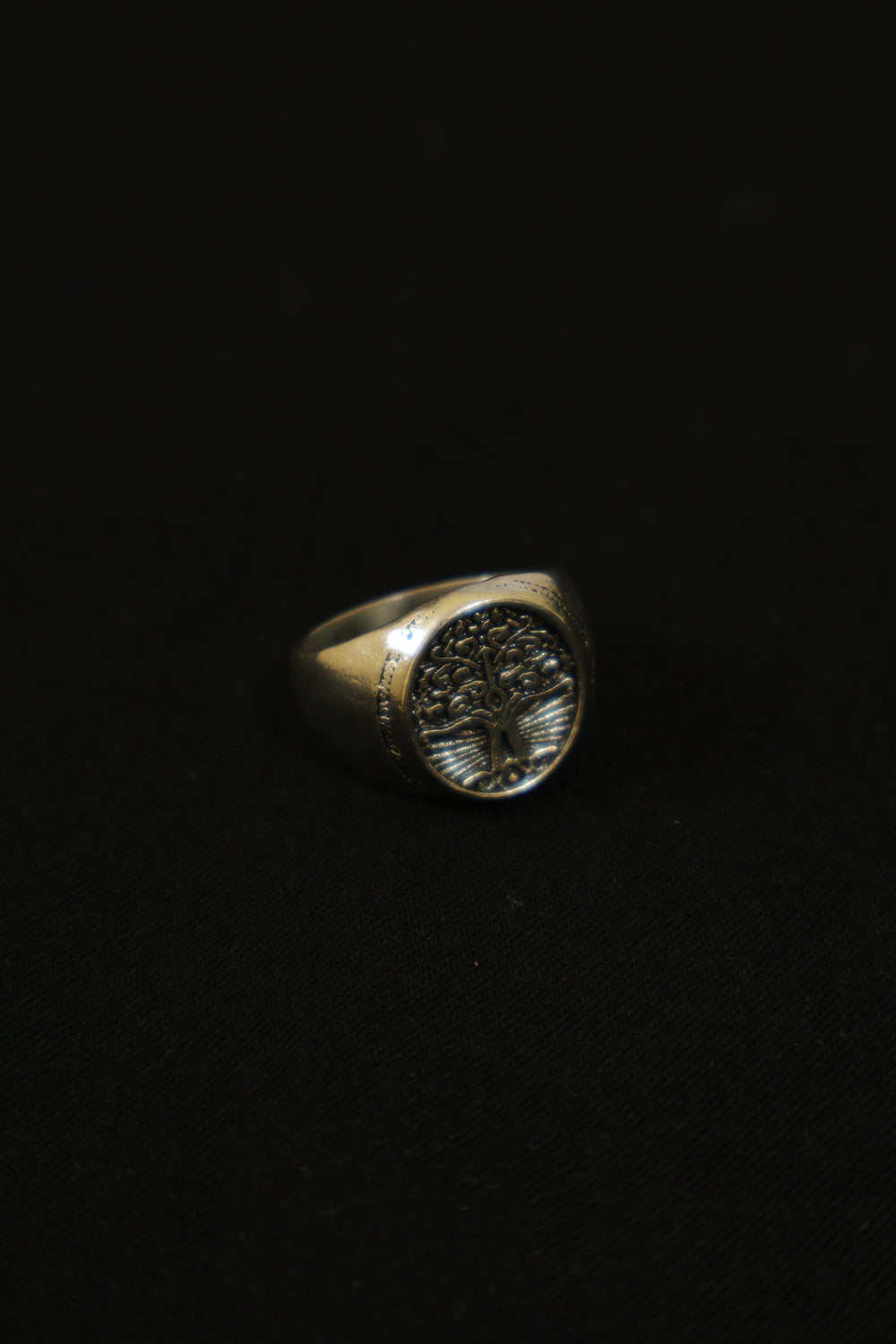 Terram Ring