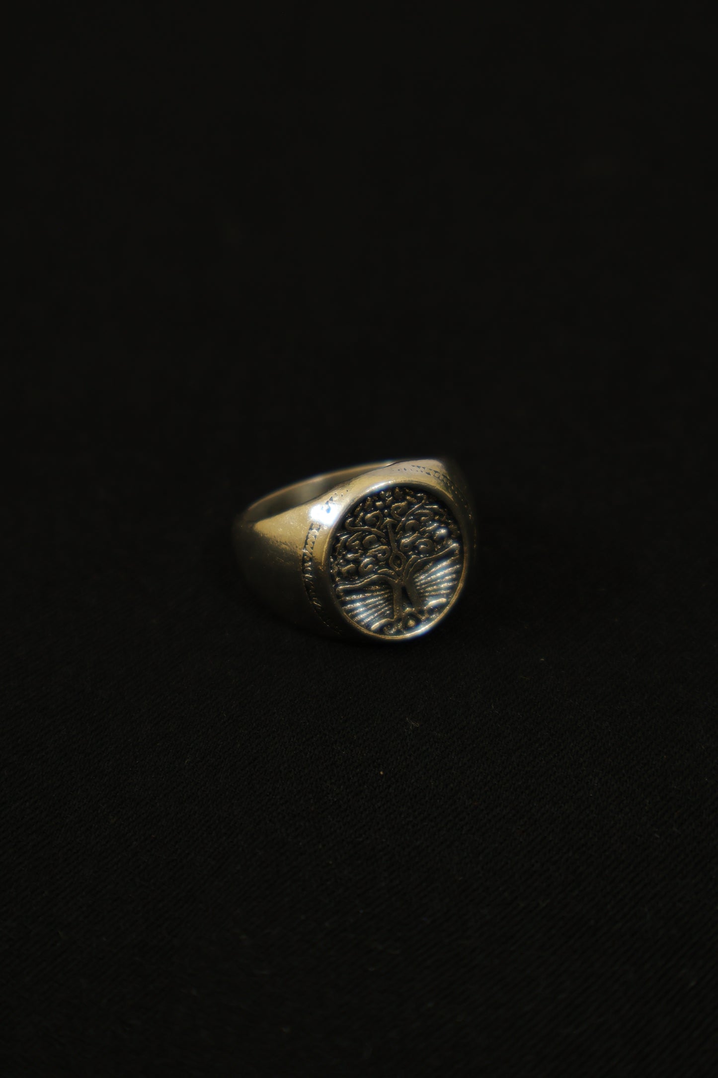 Terram Ring