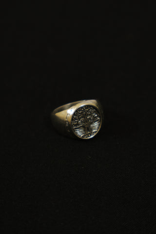 Terram Ring